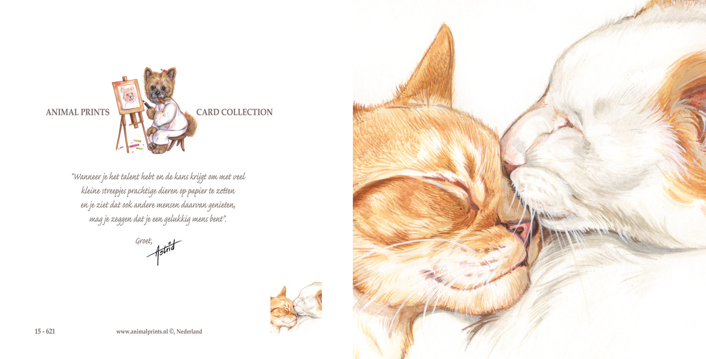 Vierkante kaart - Kattenliefde.. (katten print)