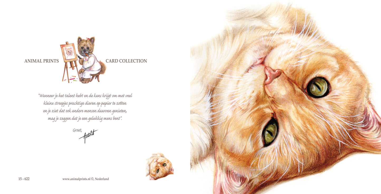 Vierkante kaart - Ben er ondersteboven van..(Katten print)