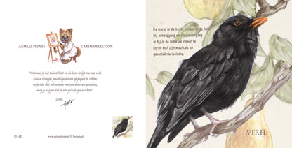 Vierkante kaart - Merel (Vogel)
