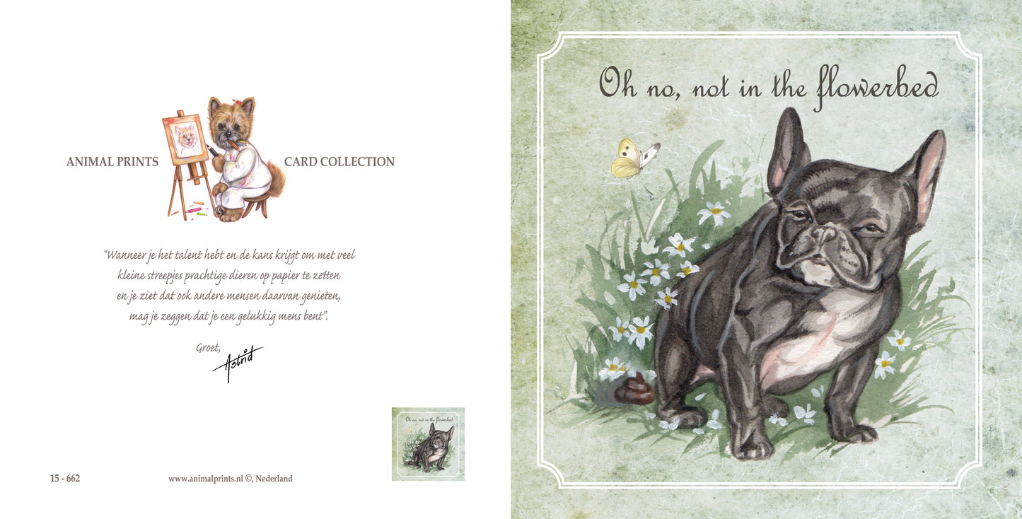 Quadratische Karte - Oh nein, nicht im Blumenbeet (Hund, Französische Bulldogge)