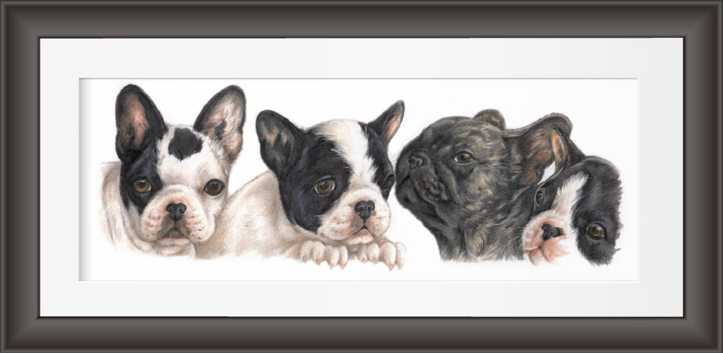 Reproductie "Franse Bulldog pups".