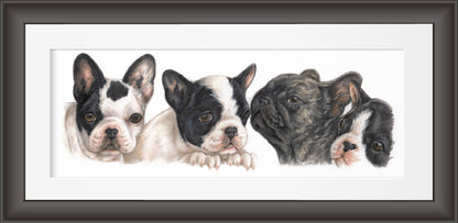 Reproductie "Franse Bulldog pups".