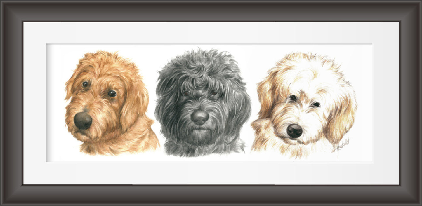 Reproduction "Labradoodles in a row".