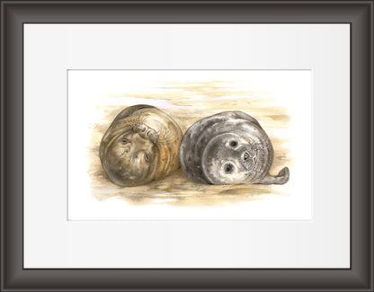 Reproductie "2 Zeehonden".
