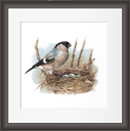 Reproductie "Vogelnestje".